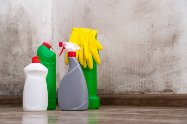 Salisbury, MD Mold Removal Company